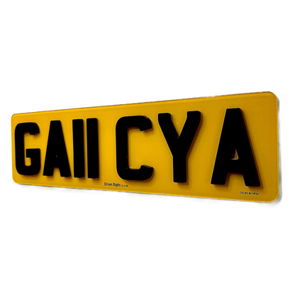 Shortened rear 16 inch plate with 6mm 4D lettering